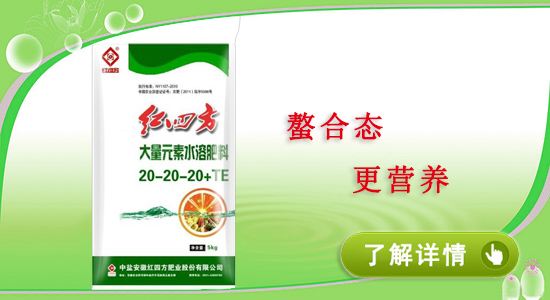 紅四方大棚果蔬專用水溶復合肥