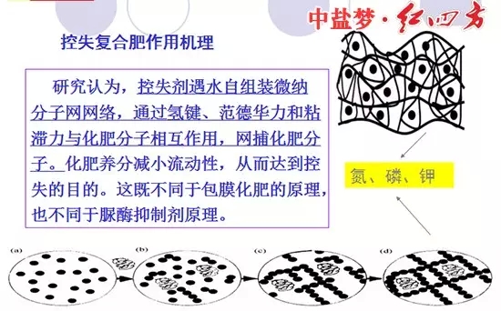 控失復(fù)合肥作用機理