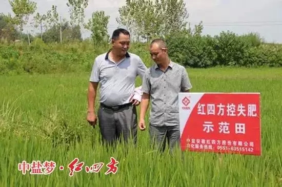 走在田間地頭，當?shù)亟?jīng)銷商深發(fā)感觸
