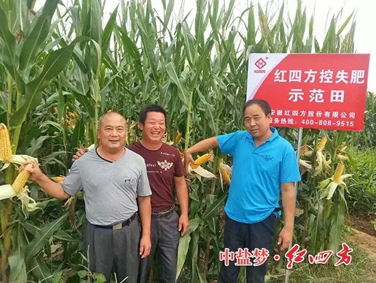 在山東青州的田間，客戶看見施用紅四方40%(28-6-6)添加腐植酸控失肥的玉米株高、葉色濃郁、不禿尖，網(wǎng)點商大贊效果出乎意料！