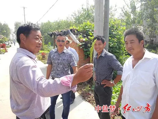 江蘇金湖施漢明在前鋒鄉(xiāng)，組織40名種田大戶進行了水稻觀摩會，施用紅四方45%（15-15-15）的水稻籽粒飽滿，肥效受到大戶稱贊，也為網(wǎng)點商增強了銷售信心。