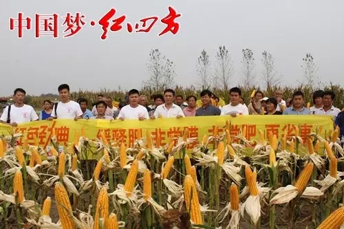 中鹽紅四方一直將產(chǎn)品創(chuàng)新作為企業(yè)發(fā)展的第一要務，大力開展農(nóng)化服務和新型肥料。