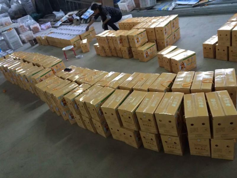已經(jīng)裝好的桔子