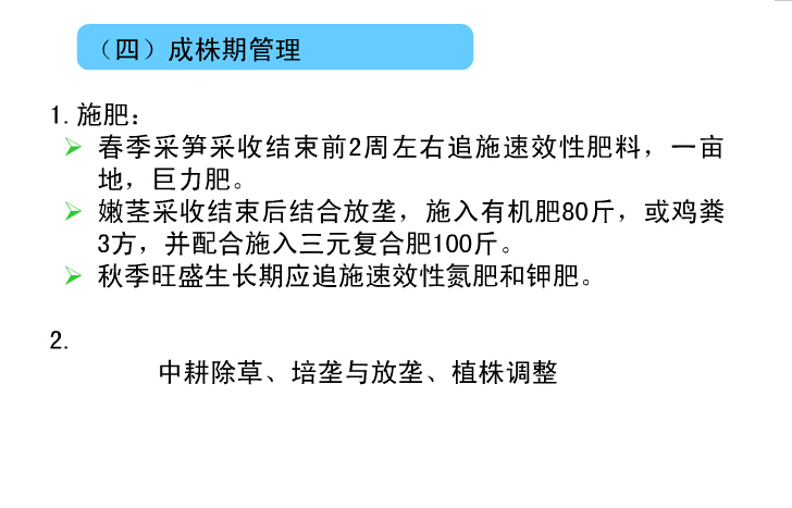 蘆筍種植技術-成株管理