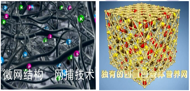 網捕技術有效保留養(yǎng)分不流失