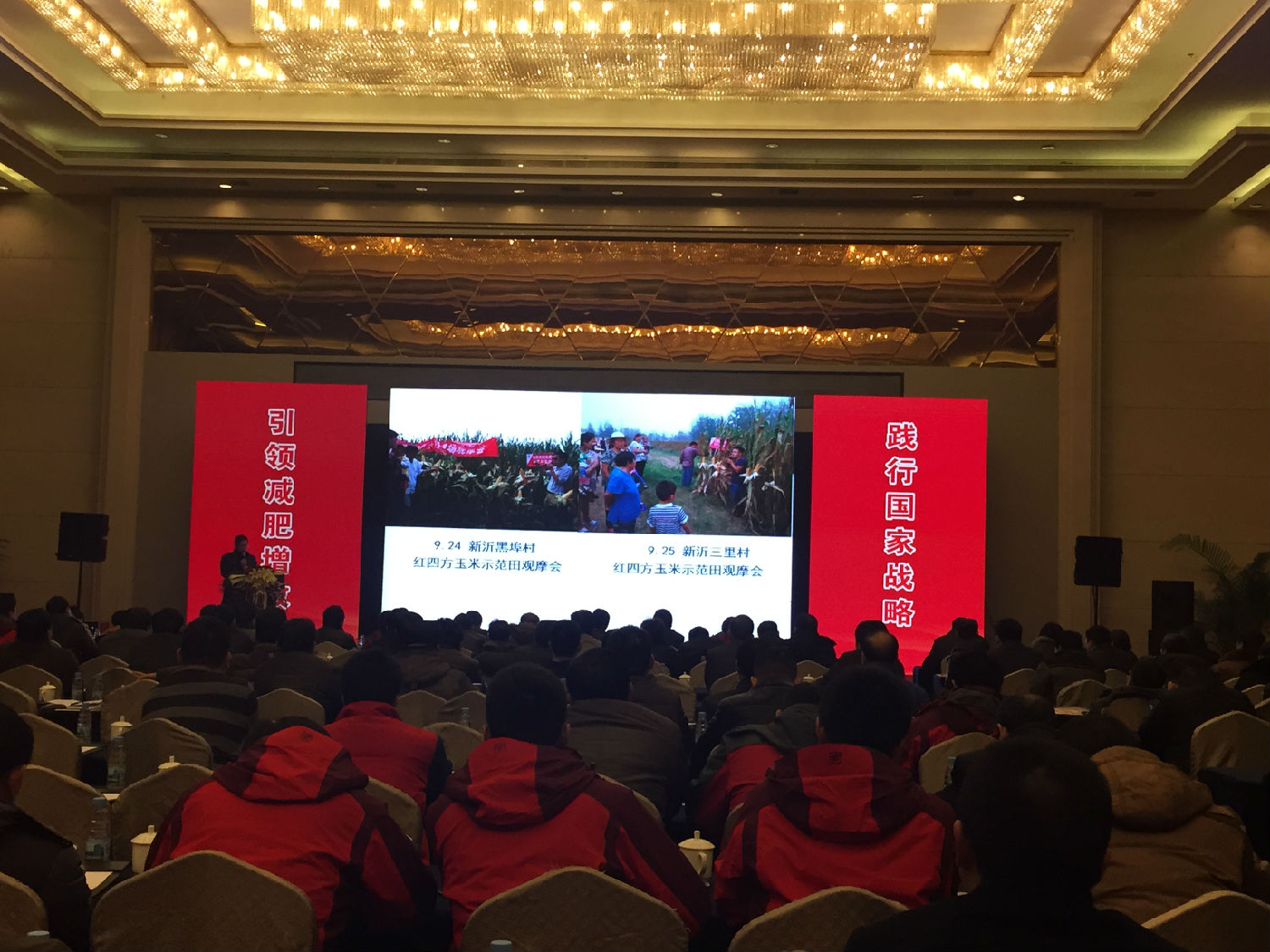 中鹽紅四方用創新詮釋中國十大品牌復合肥