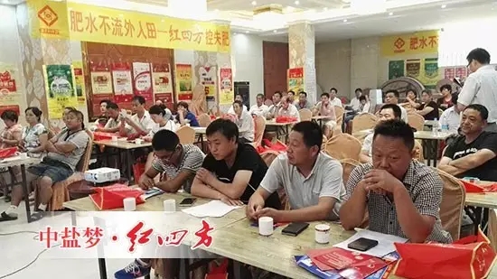 中鹽紅四方鎮(zhèn)平核心客戶復合肥直銷招商峰會