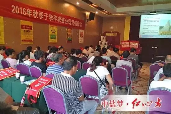 淮陽紅四方秋季二級網點會議，砸金蛋，中大獎，用好肥