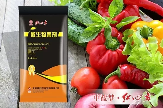 這是一份紅四方微生物菌劑的使用說明書