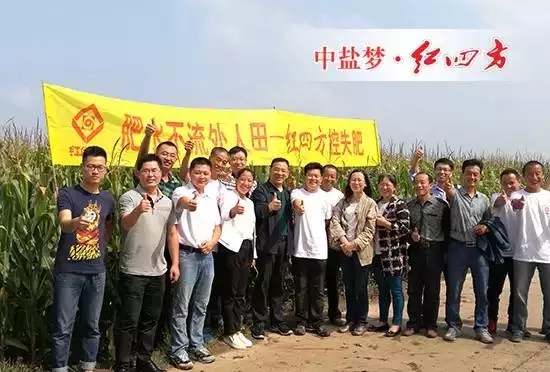 全國農技推廣中心孟遠奪（左七），吉林省土肥總站、扶余土壤肥料站等領導、專家，紅四方副總經理陳勇（左八）全程參與本次走訪活動。.webp.jpg