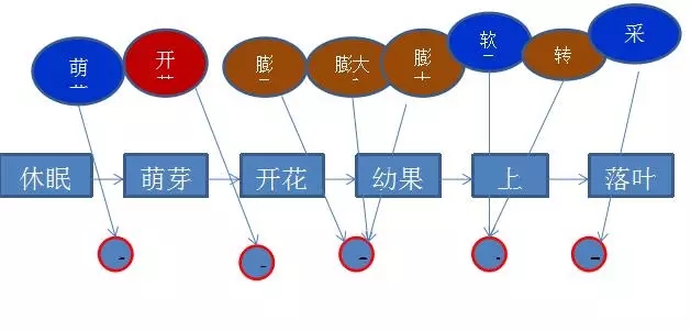 為了更合理的教會大家施肥，我們推出5大節點用肥方案，如上圖所示。