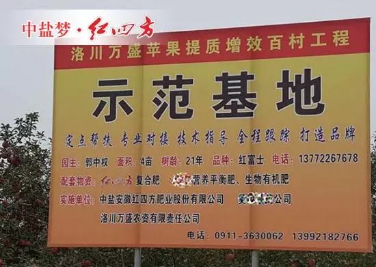 考慮到陜西市場(chǎng)蘋(píng)果種植面積的增加和蘋(píng)果需肥特性，中鹽紅四方把目光瞄準(zhǔn)了陜西的蘋(píng)果市場(chǎng)，主要做蘋(píng)果專用肥以及膨大肥的推廣，并積極參與到蘋(píng)果的全程解決方案中去。