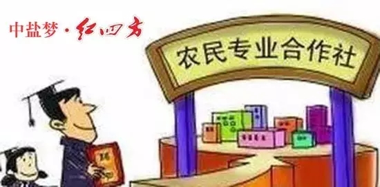 2016年，國家推出多個(gè)政策支持新型農(nóng)業(yè)經(jīng)營主體發(fā)展，推動(dòng)農(nóng)村一二三產(chǎn)業(yè)融合發(fā)展。那么，2017年，國家對合作社又有哪些補(bǔ)貼政策呢？